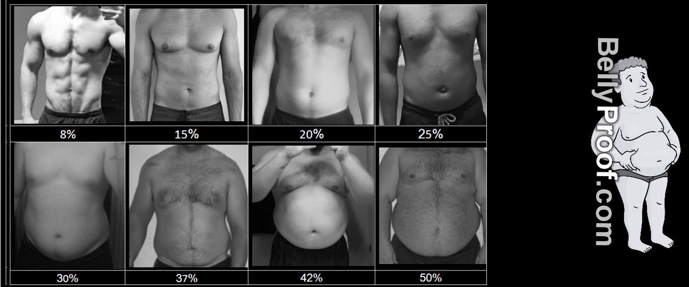 body fat percentage chart men